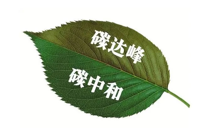 ƄɫcI(ji)̼ܽ F(xin)̼_̼к