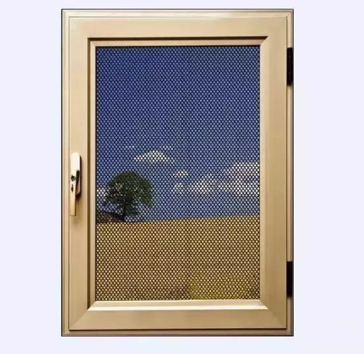 Fµļʽʲôx